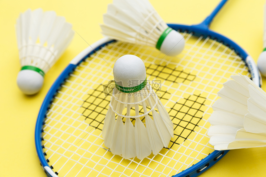 训练了运动 训练了运动