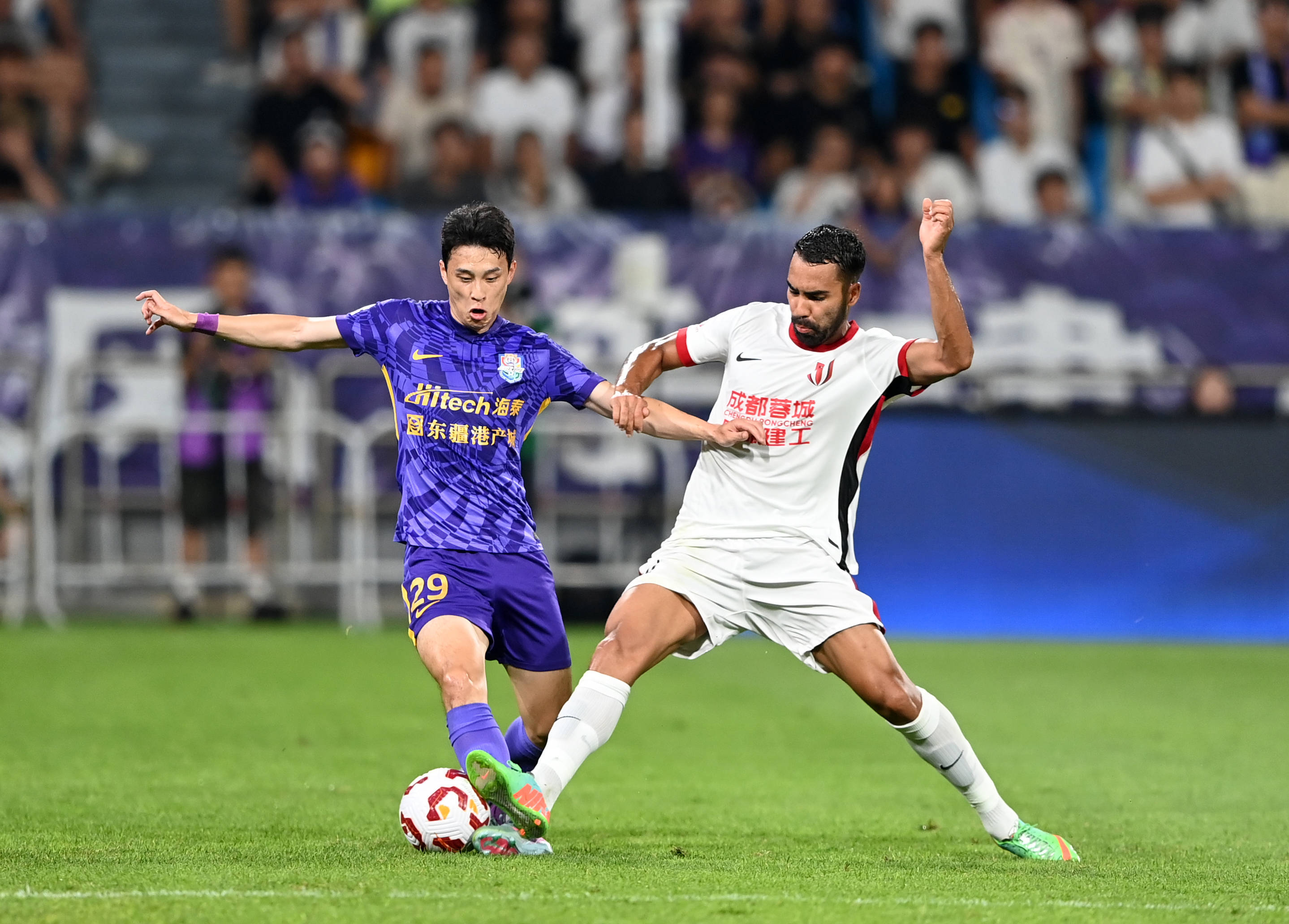 波切蒂诺可 波切蒂诺可