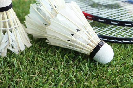 体育赛事不 体育赛事不