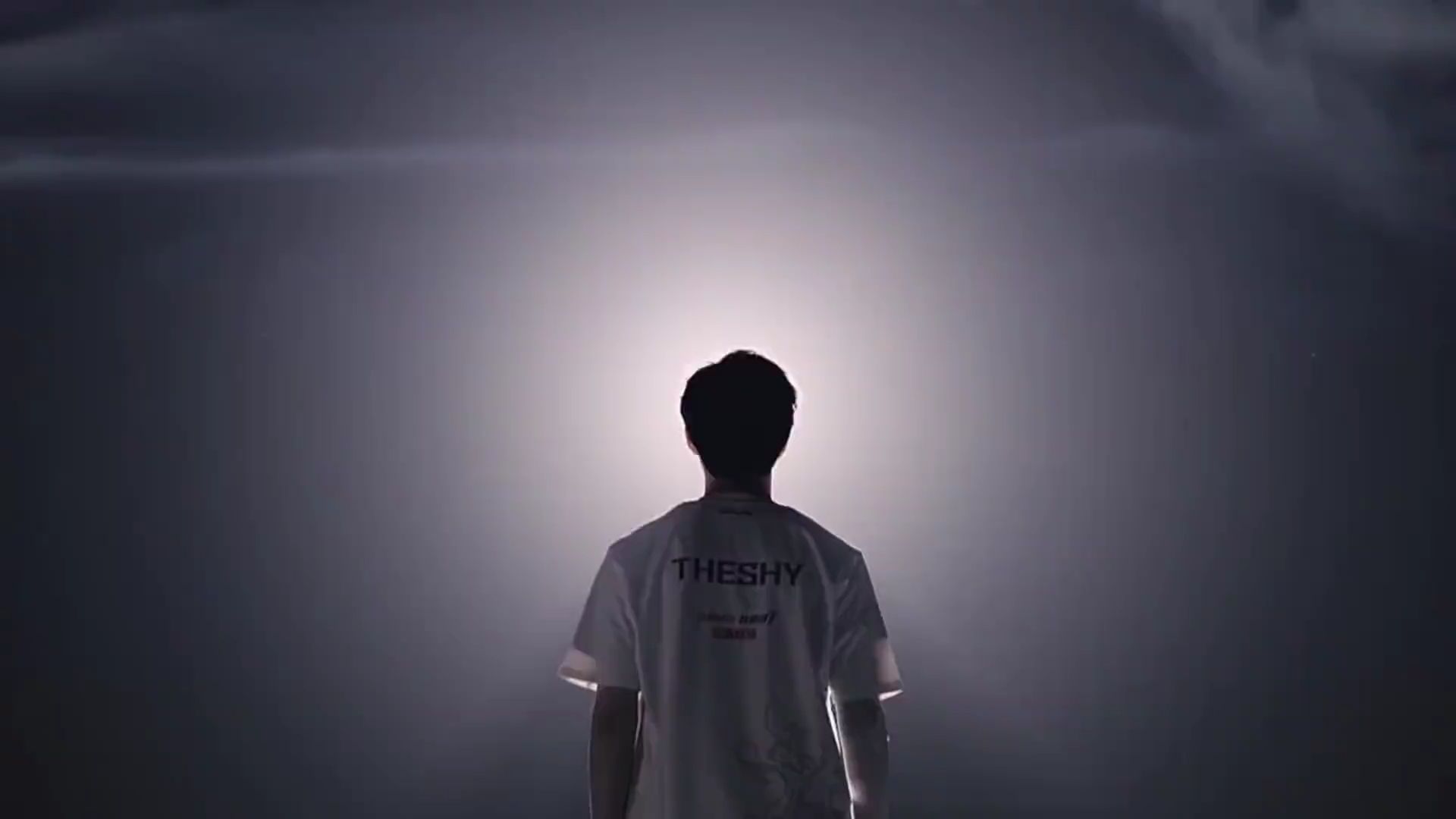 勒沃庫森對 勒沃庫森對